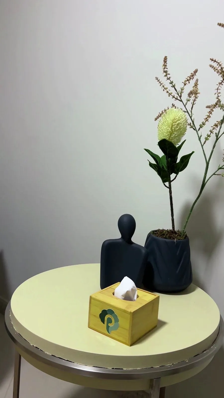 Mesinha com planta e caixa de lenços com o símbolo da clínica